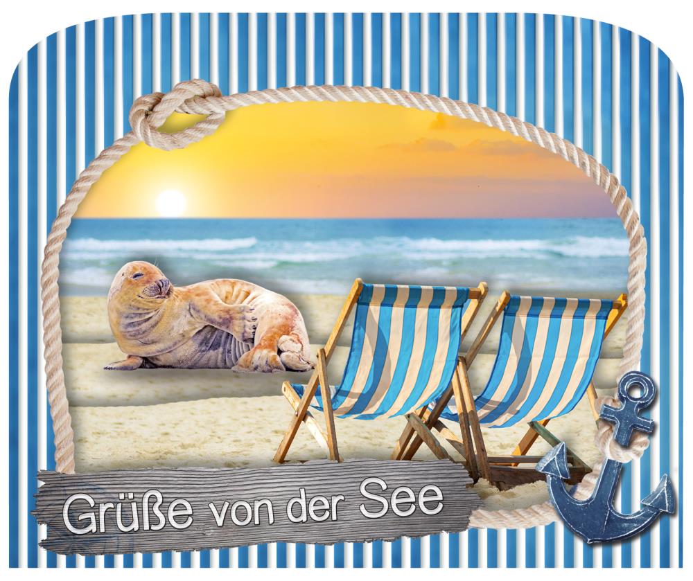 0622 - 3D Grußkarte Küste Klappstühle – Robbe