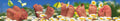 10121006 - Panoramakarte Cardselect (ANL021-PK)
