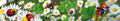 10121027 - Panoramakarte Anlass  (TIE043-PK)