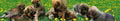 10121040 - Panoramakarte Anlass  (TIE046-PK)