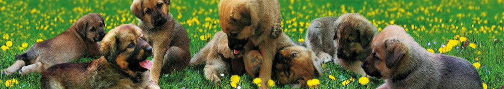 10121040 - Panoramakarte Anlass  (TIE046-PK)