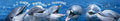 10121079 - Panoramakarte Anlass  (ANL072-PK)