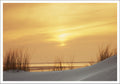 20033005 - Editionspostkarte Nordsee