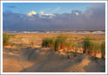 20033010 - Editionspostkarte Nordsee
