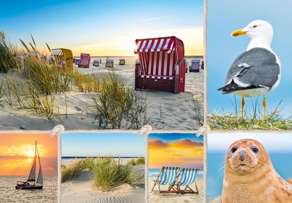 20034024 - PK-Kaltfolie Vielmotiv Küste