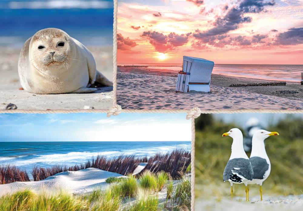 20034033 - PK-Kaltfolie Vielmotiv