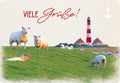 23000011 - Postkarte "Finne" Viele Grüße