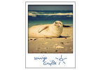 24001022 - Polaroid Retro Robbe