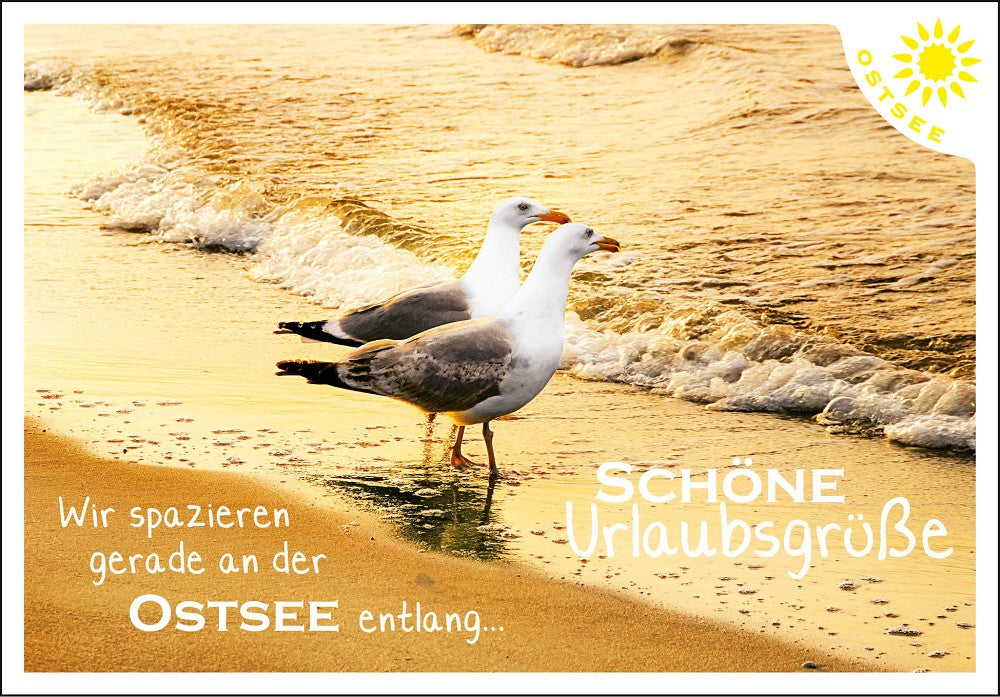 25010018 - Editions - PK Ostsee quer Möwen