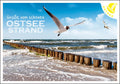 25010163 - Editions - PK Ostsee  quer Möwe