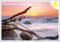 25010220 - Editions - PK Ostsee  quer