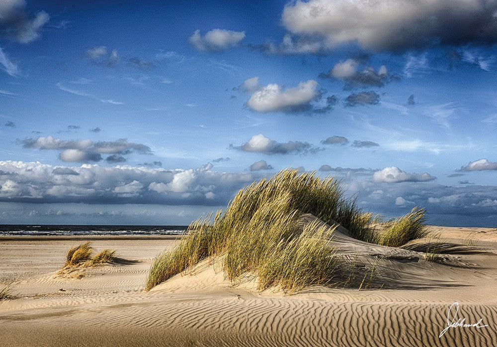 25022003 - Editions - PK "Impression"