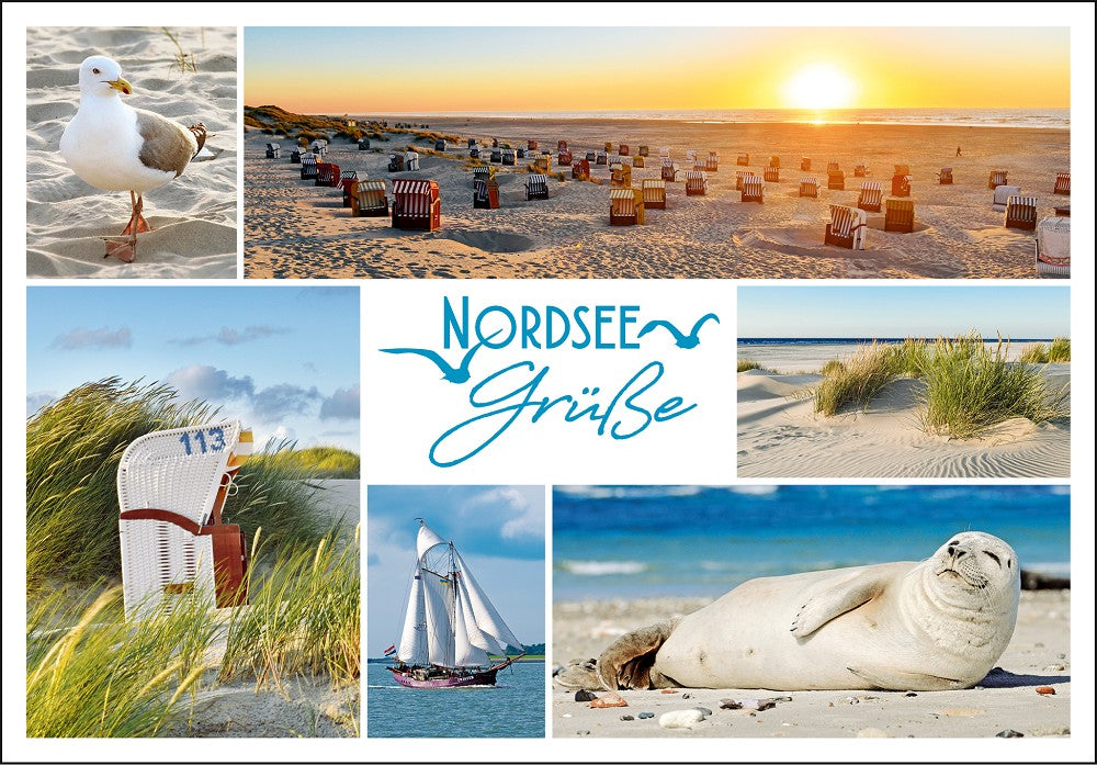 25023002 - Editions - PK "Nordsee Grüße"
