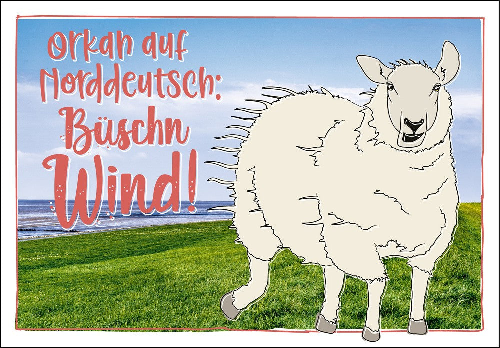 25025006 - Editions - PK "typisch Norden" Orkan auf Norddeutsch