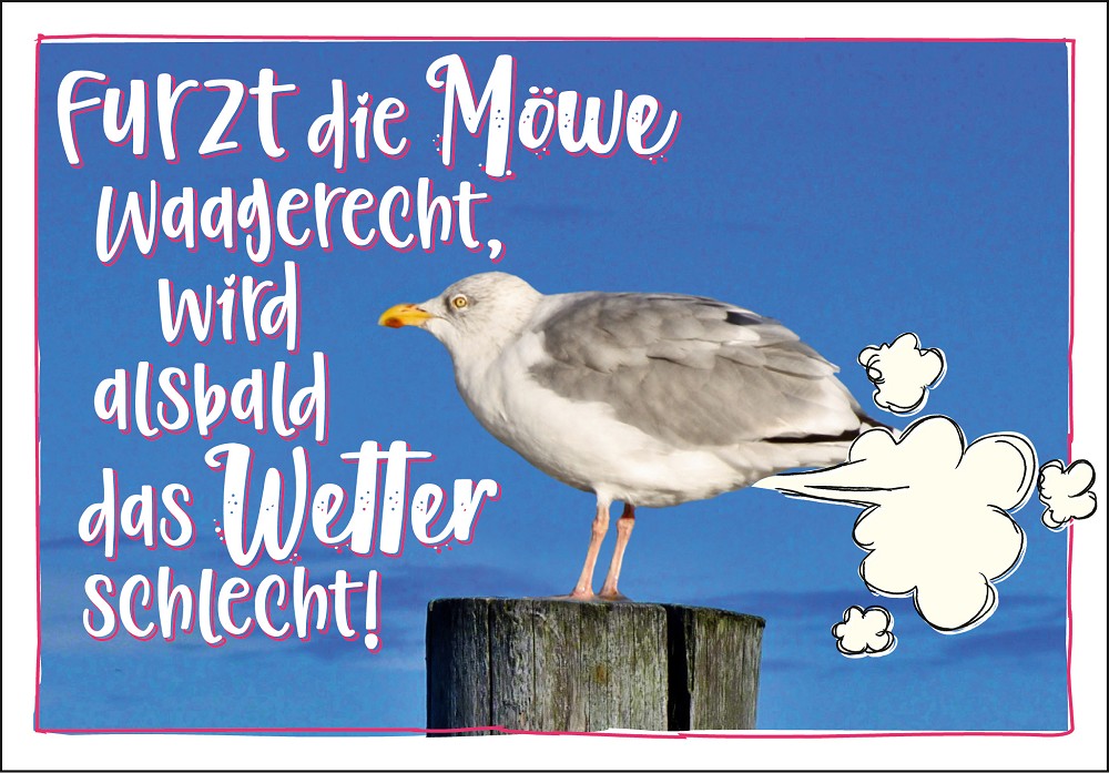 25025012 - Editions - PK "typisch Norden" Furzt die Möwe ...