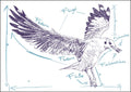 25026013 - Postkarte Küsten Gesabbel „Möwe“