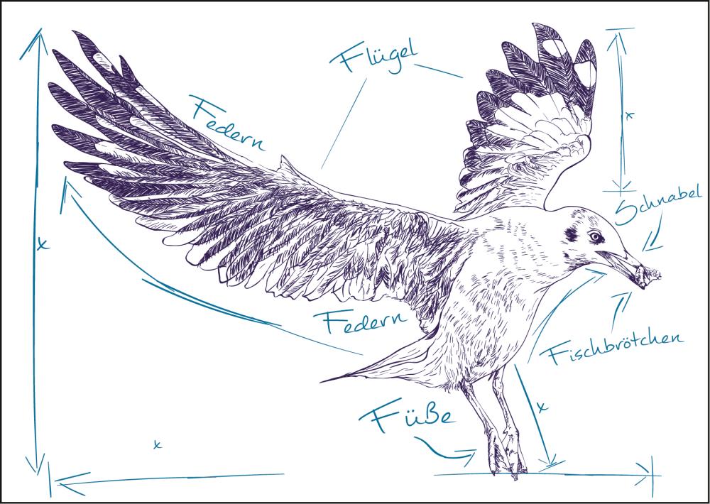 25026013 - Postkarte Küsten Gesabbel „Möwe“