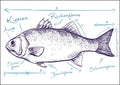 25026035 - Postkarte Küsten Gesabbel „Fisch“