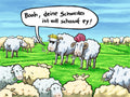 25027013 - Postkarte Küsten Cartoons "Voll schaaf"