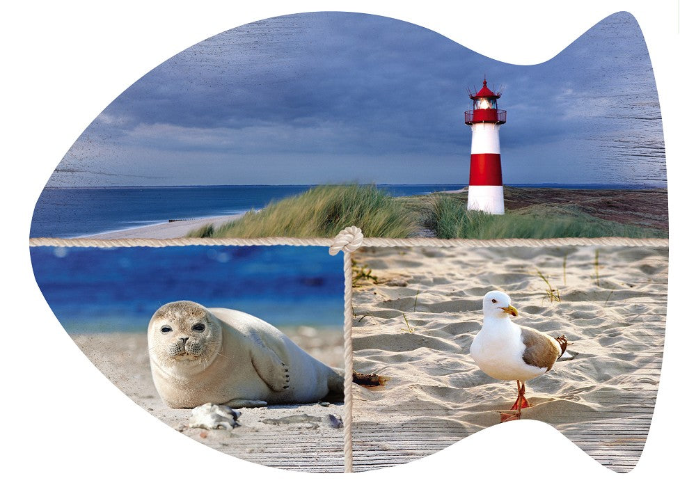 25031011 - Formpostkarte Fisch Vielmotiv