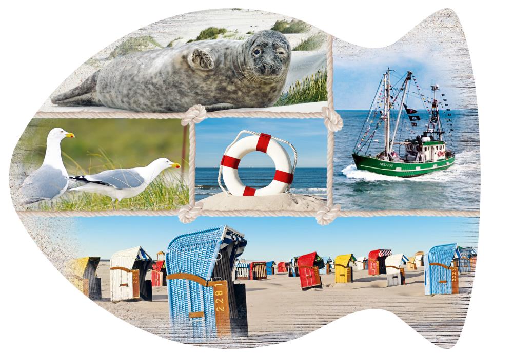 25031052 - Formpostkarte Fisch Vielmotiv