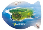 25031512 - Formpostkarte Fisch Baltrum