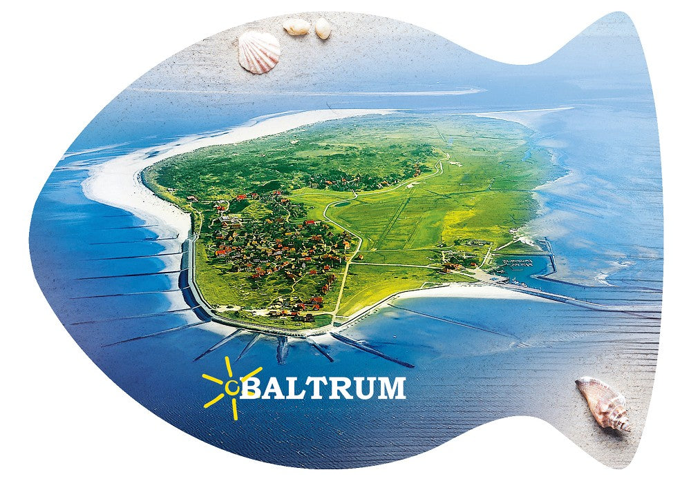 25031512 - Formpostkarte Fisch Baltrum