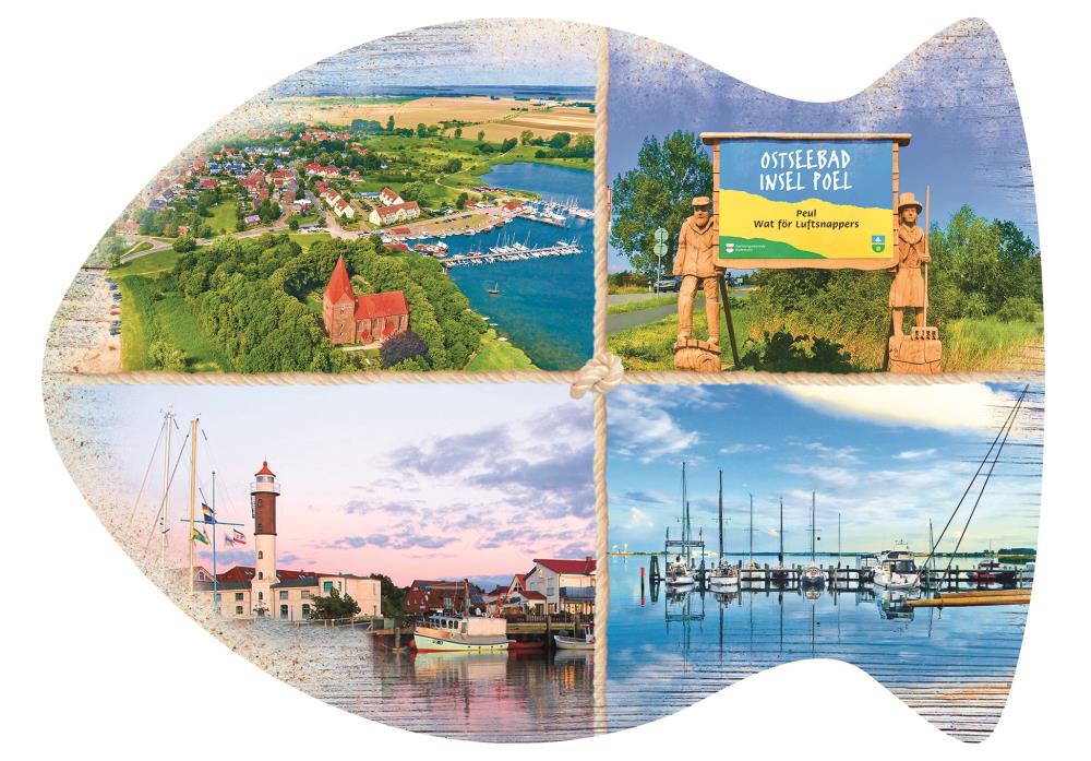 25032534 - Formpostkarte Fisch Poel Vielmotiv