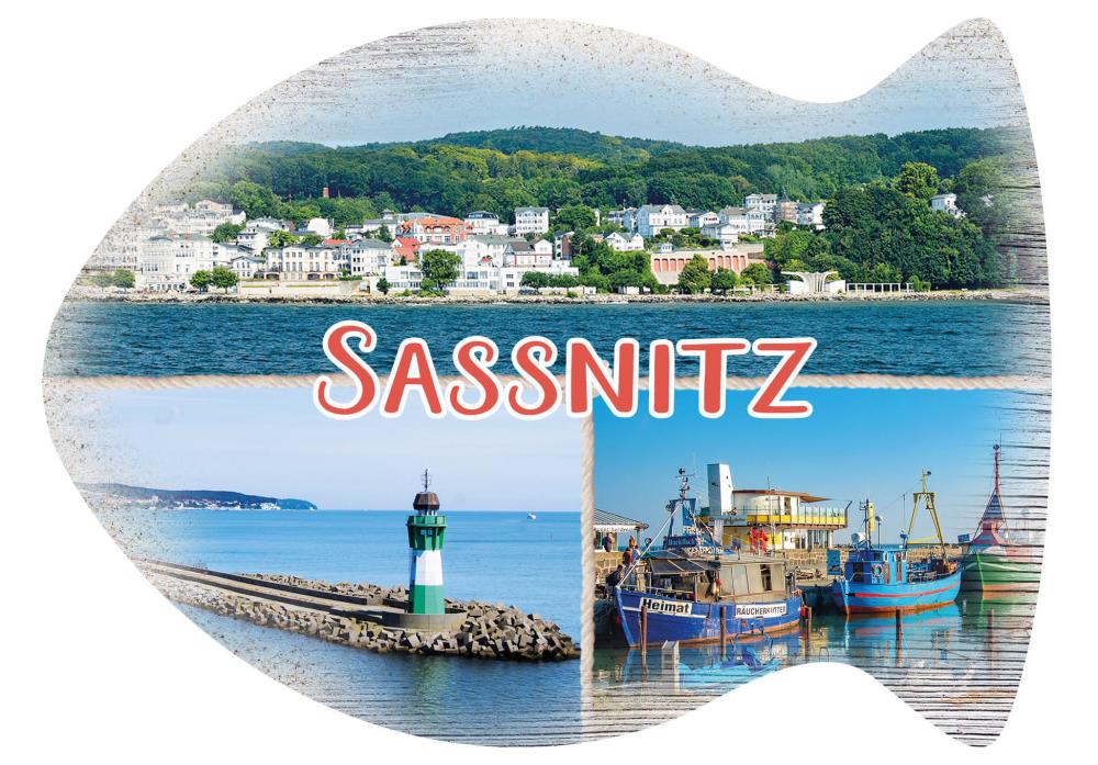 25032545 - Formpostkarte Sassnitz Fisch Vielmotiv