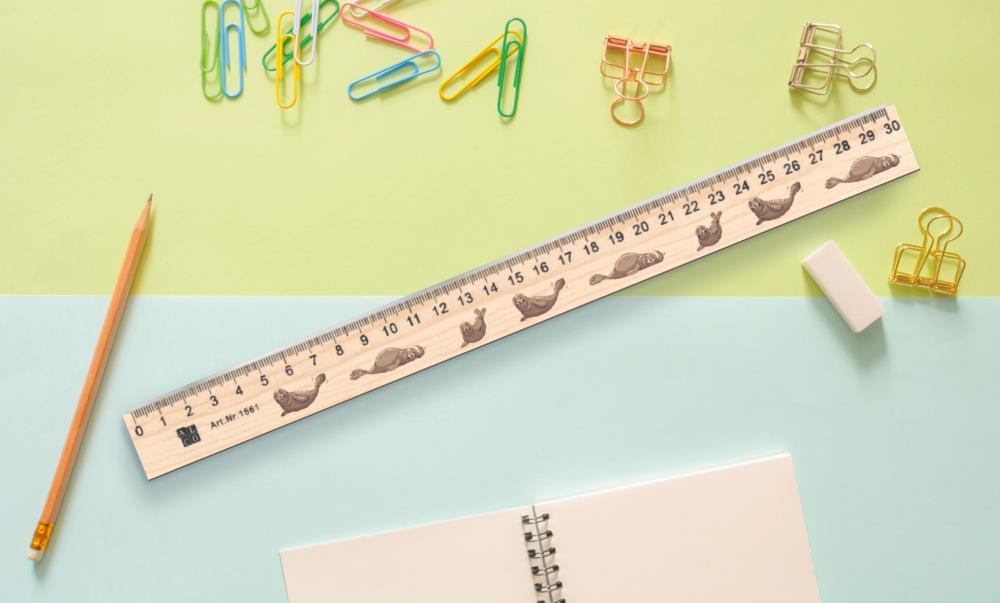 51006001 - Holzlineal "Robben"