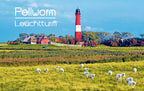 51025015 - KLM Acrylglasmagnet Pellworm