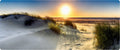 51051012 - Epoxy - Magnet Sonnenuntergang