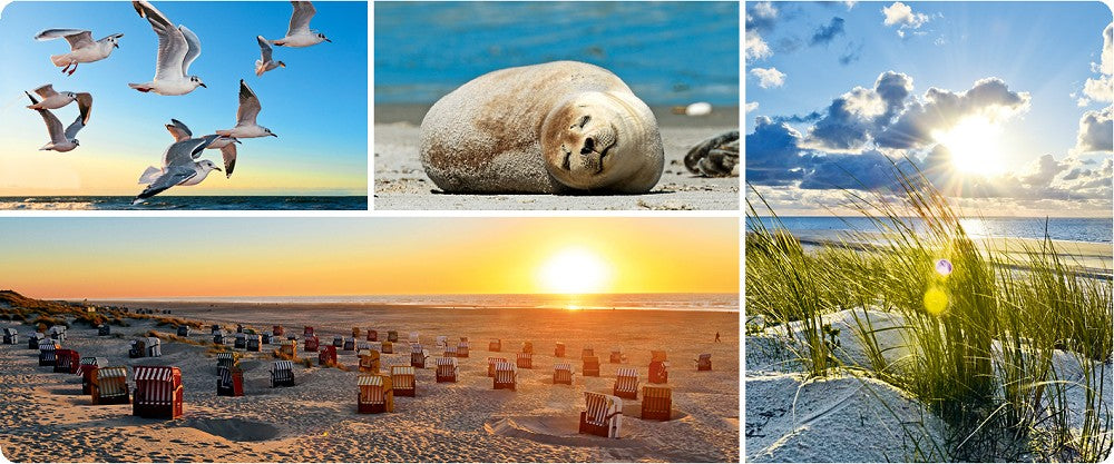 51051013 - Epoxy - Magnet Vielmotiv