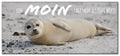 51053005 - Magnet Panorama matt