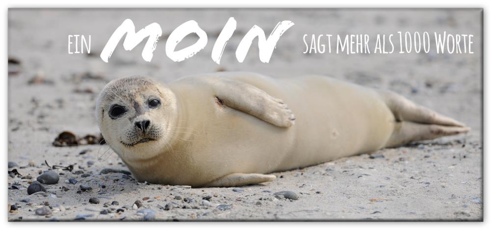 51053005 - Magnet Panorama matt