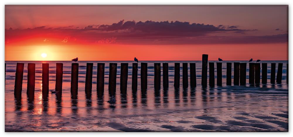 51053006 - Magnet Panorama matt