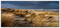 51053008 - Magnet Panorama matt