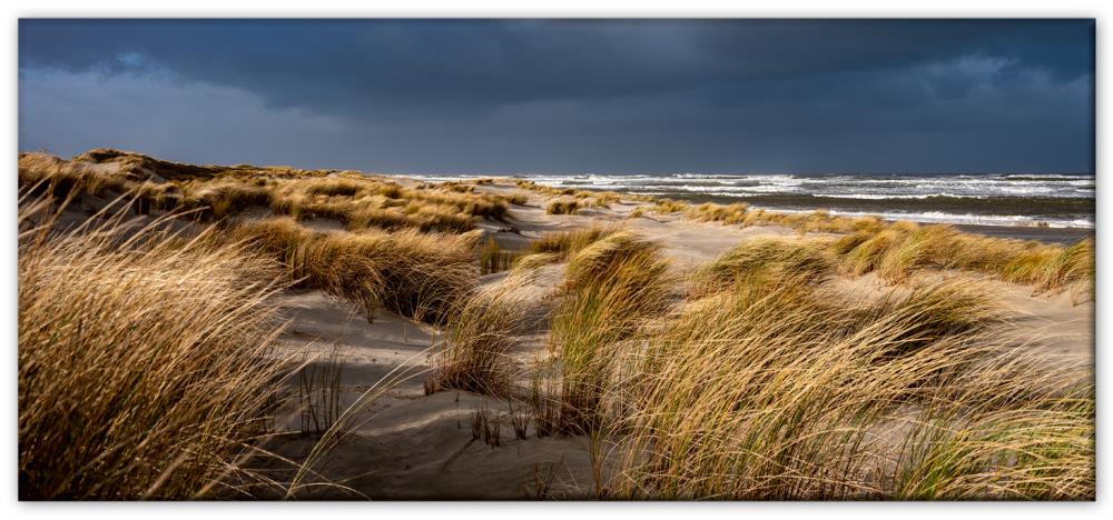 51053008 - Magnet Panorama matt