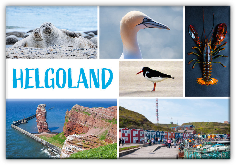 51055124 - Magnet Standard matt - "Helgoland" Vielmotiv