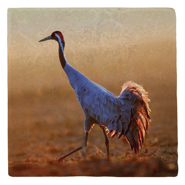 51058005 - Marmormagnet Kranich