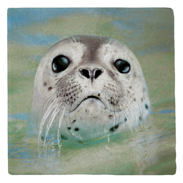 51058007 - Marmormagnet Robbe