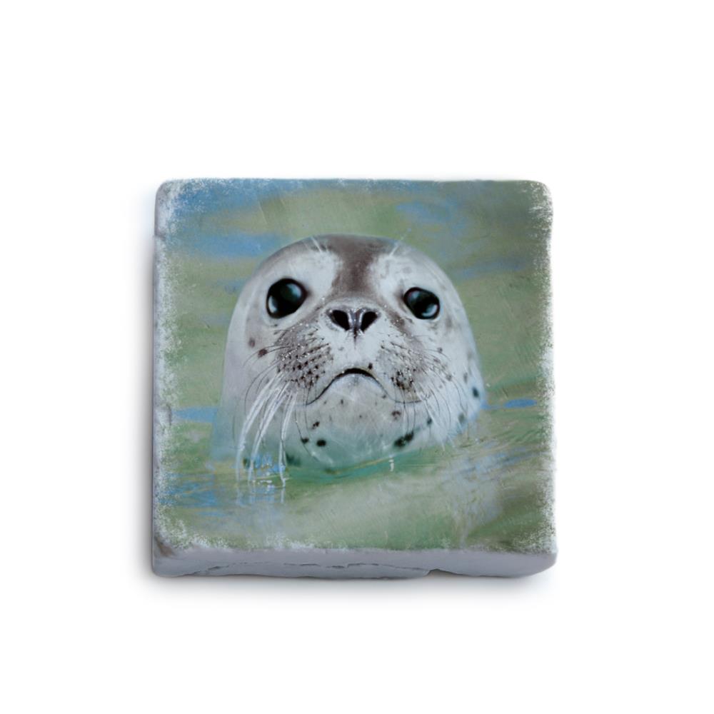 51058007 - Marmormagnet Robbe