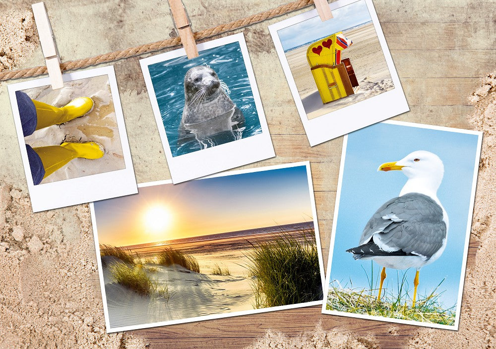 51090109 - Platzdeckchen Vielmotiv