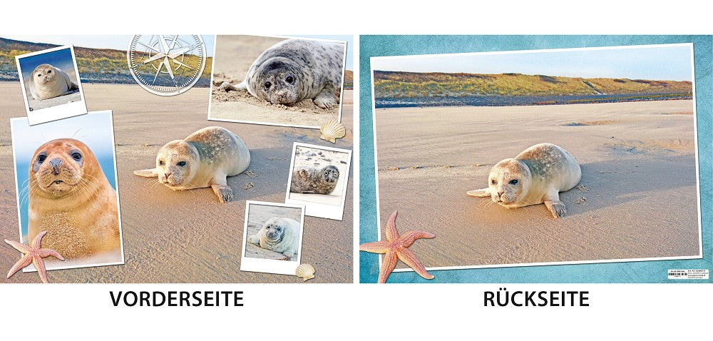 51090111 - Platzdeckchen „Robben“