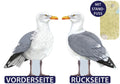 622024 - Küstenschild "Möwe"