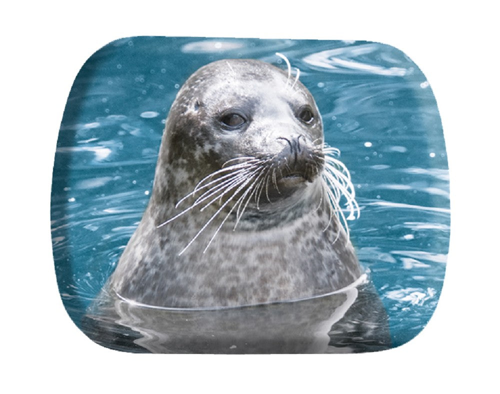 71000003 - Minidose Robbe