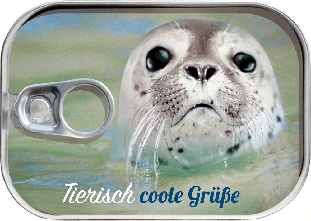 72000113 - Dosenpost Küste Robbe