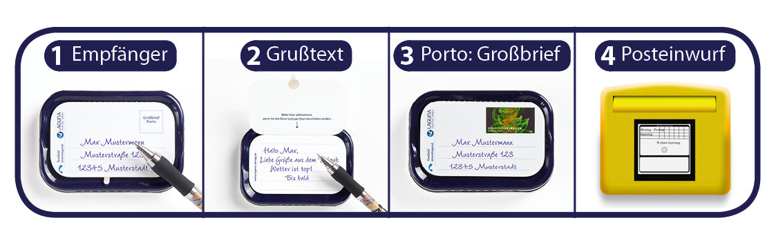 72008004 - Weingummifische in Dose "Robbe"