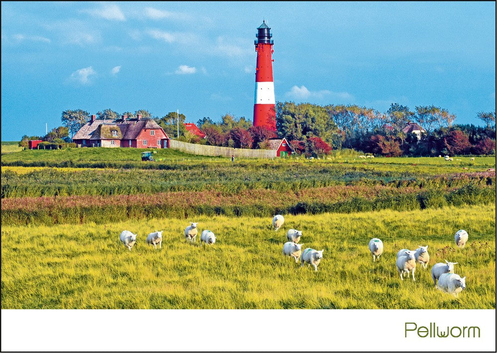 PK-PEL001 - Postkarte Pellworm