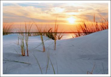 20033014 - Editionspostkarte Nordsee